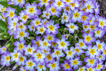 Similar image 21138111