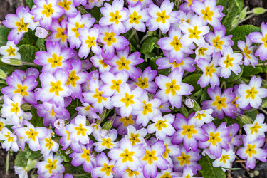 Similar image 21138112