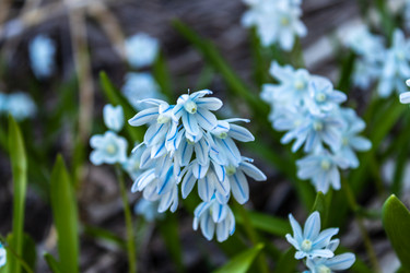 Similar image 21138113