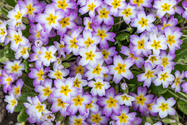 Similar image 21138114