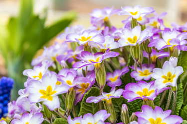 Similar image 21138115