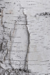 Similar image 21140847