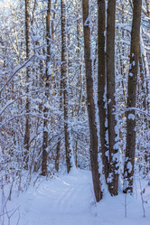 Similar image 21140850