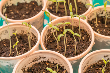 Similar image 21140860