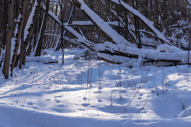 Similar image 21166602