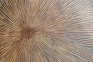 Similar image 21166644