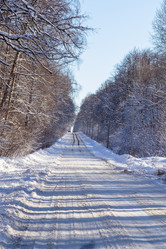 Similar image 21166647