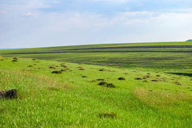 Similar image 21140871