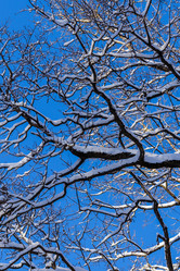 Similar image 21140881