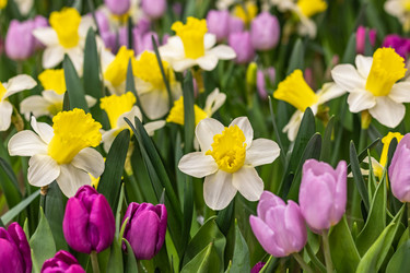 Similar image 21140883