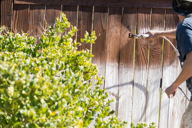 Similar image 21134469