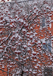 Similar image 21140888