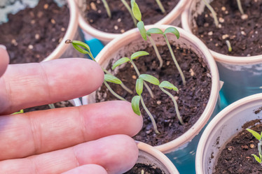 Similar image 21166609