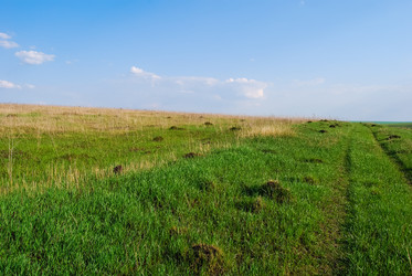 Similar image 21166658