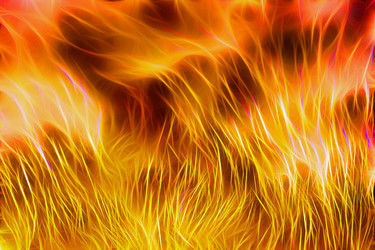 Similar image 21166669