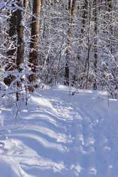 Similar image 21140904