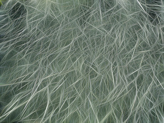 Similar image 21140923