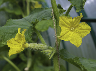 Similar image 21140926