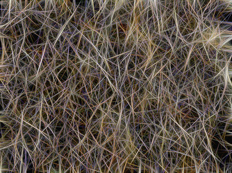 Similar image 21166610