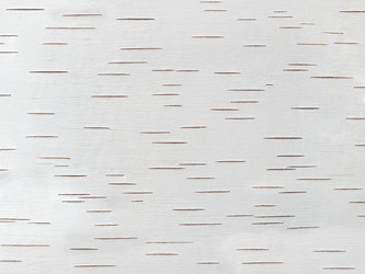 Similar image 21166676