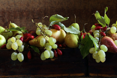 Similar image 21200290