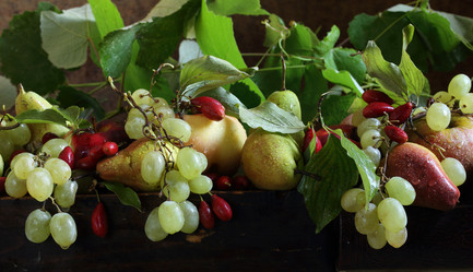 Similar image 21200291