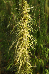 Similar image 21135739