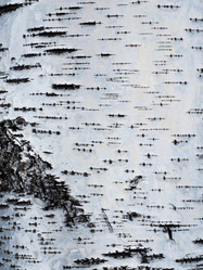 Similar image 21166687