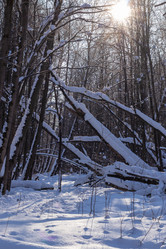 Similar image 21166688