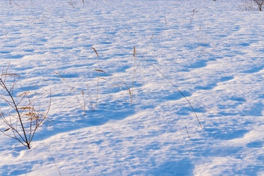 Similar image 21166690