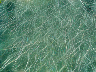 Similar image 21166703