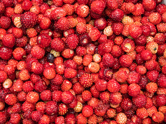 Similar image 21169448