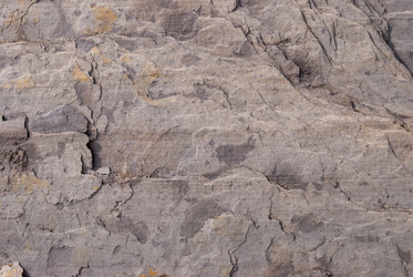 Similar image 21140949