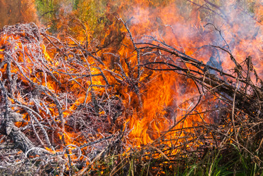 Similar image 21140952