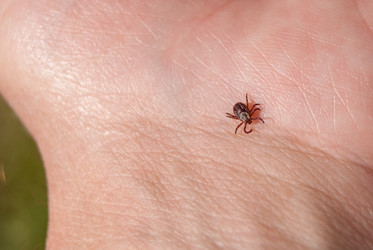 Similar image 21140963