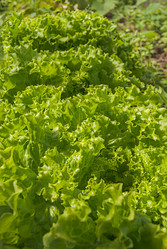 Similar image 21166566