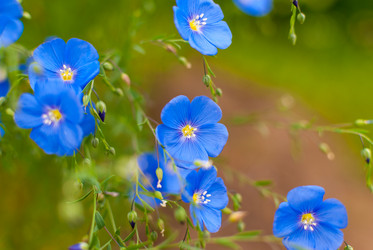 Similar image 21166707