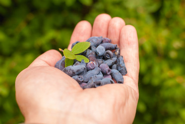 Similar image 21166708