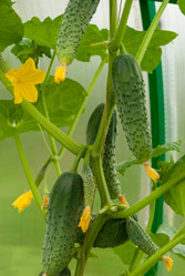 Similar image 21166712