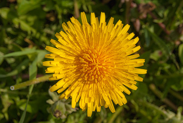 Similar image 21169279