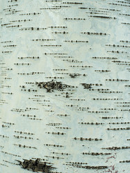 Similar image 21169347