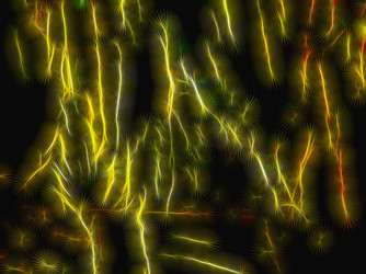 Similar image 21169350