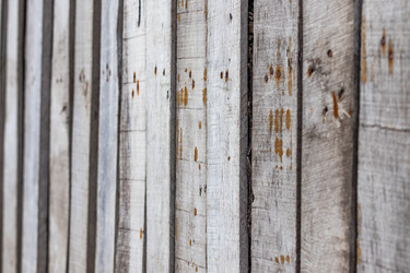 Similar image 21169319