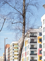 Similar image 21169450