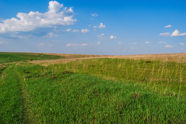 Similar image 21169454