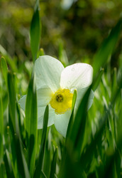 Similar image 21169669