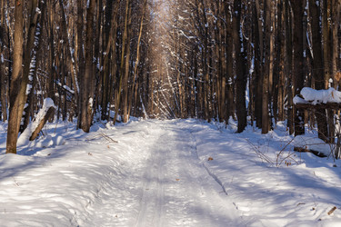 Similar image 21169670