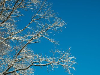 Similar image 21169683