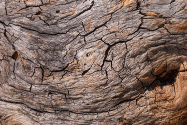 Similar image 21140970