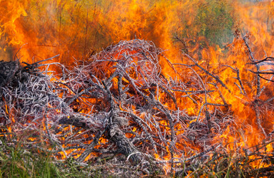 Similar image 21140976